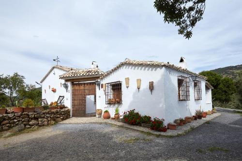 Cortijo Majolero 2