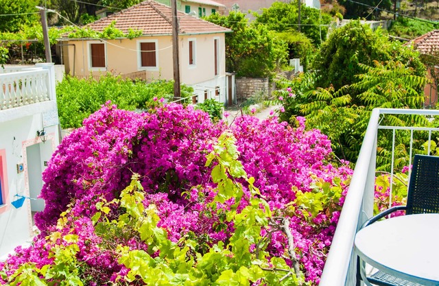 Cosy 3 bedroom apartment in the center of Fiskardo village, near the beach.