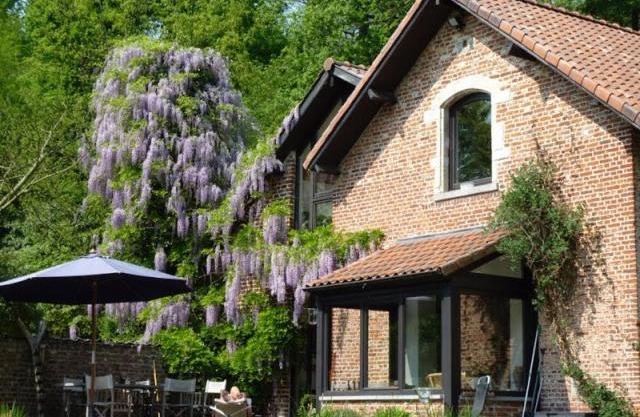 Cosy Lodge