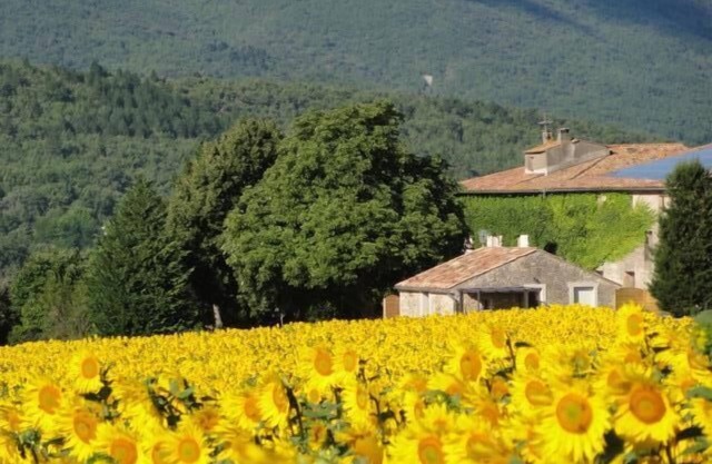 Cottage in the countryside in the heart of the Luberon