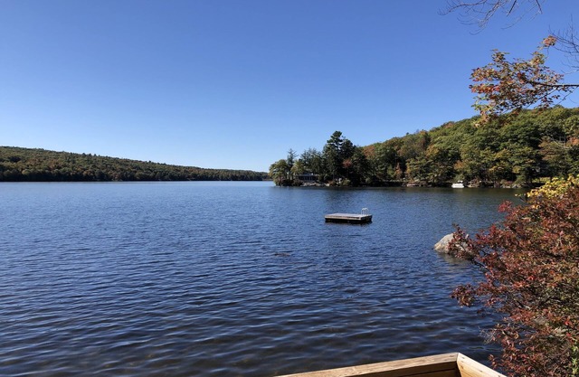 Cottage on the lake-you can't get any closer!