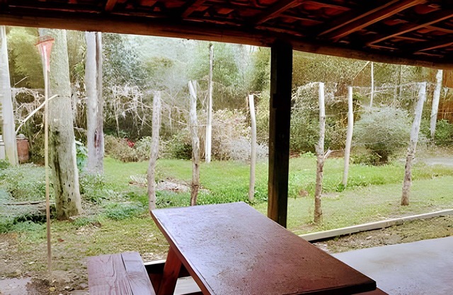 Cottages Bem-te-Vi e Beija-Flor, Mata Atlântica, Pesca, Natureza