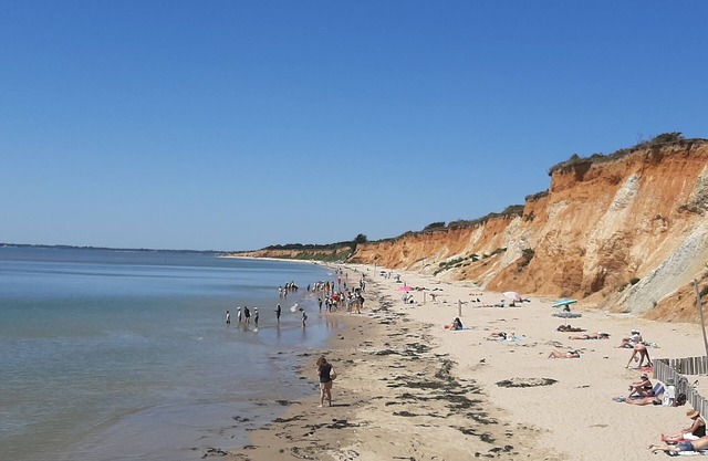Cozy 2-Bedroom Chalet with Pool, Near Morbihan Gulf and Beaches