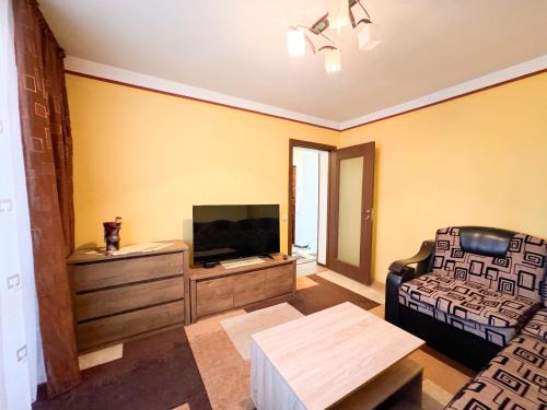 Cozy Apartment Hunedoara