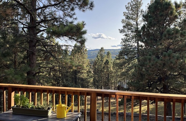 Cozy cabin in the woods. 12 min from the Angel Fire ski resort; 6 to golf course