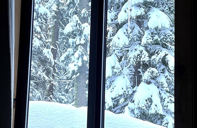Cozy cabin near Lake Tahoe SierraSki resort . 2bed 2bath.