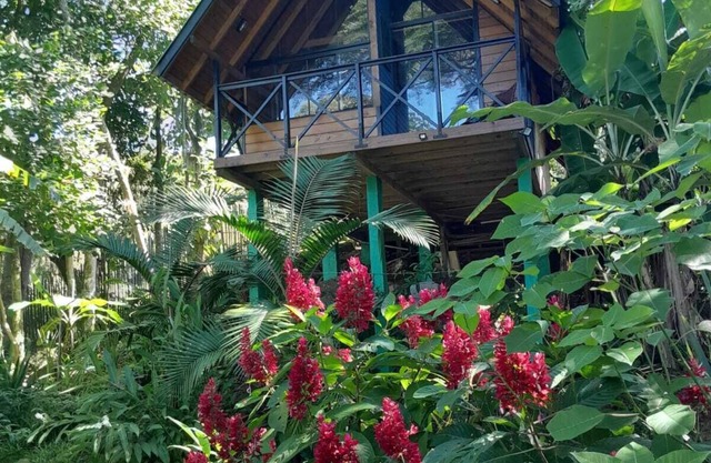 Cozy Cabin with Private Waterfall