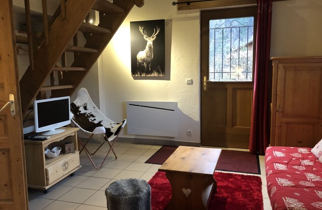 COZY INDIVIDUAL CHALET WITH GARDEN FOR 4 people in GRAND MASSIF
