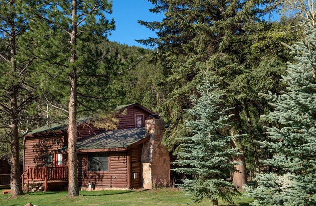 Cozy Log Cabin on Fall River