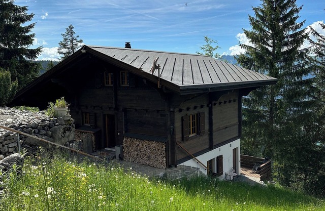 Cozy studio on the Axalp with a view of Lake Brienz