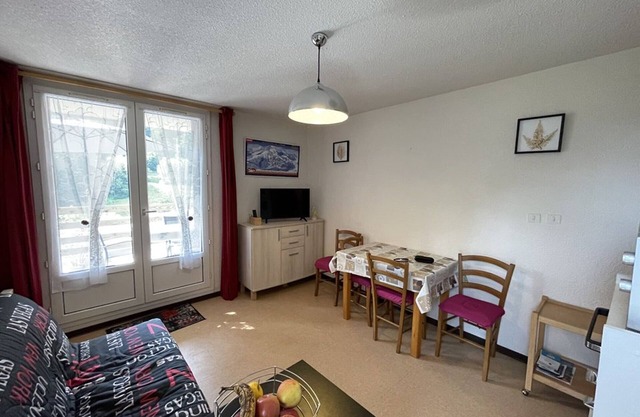Cozy studio with terrace in Le Lioran, pets welcome