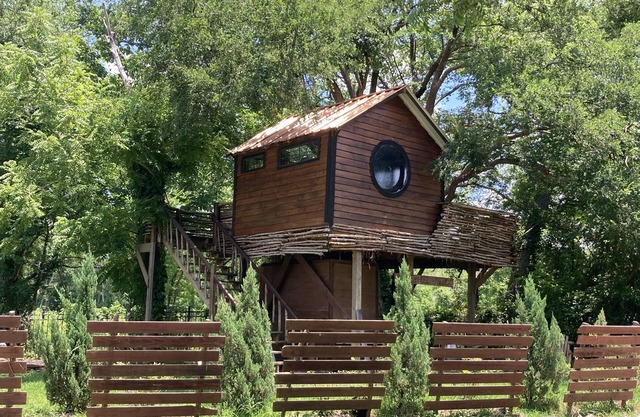 Cozy Treehouse on Lake Conroe w/large nest deck with a creek view