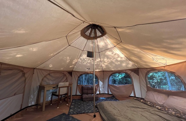 Cozy yurt nestled in a private forest