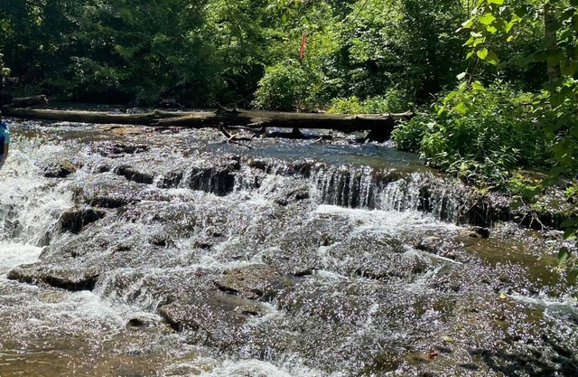 Creek Home with Waterfallsnn