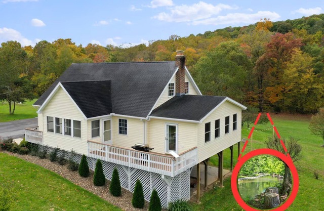 Creekside Fun | Dog-friendly, Games & Fire Pit