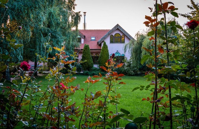 Daiconi Boutique House
