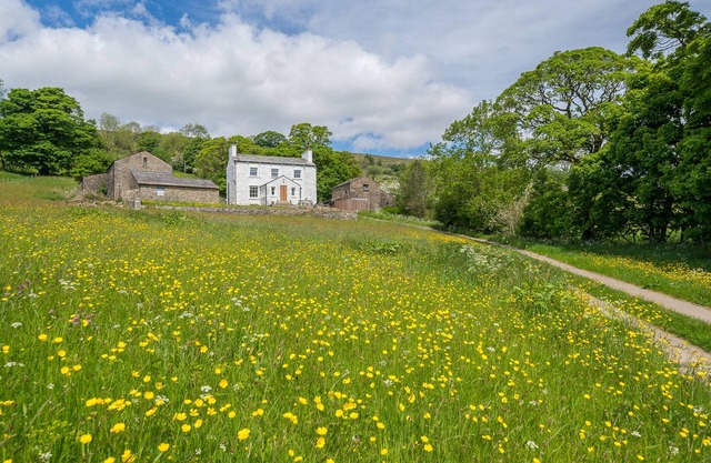 Deluxe Cottage with two acres of landscape