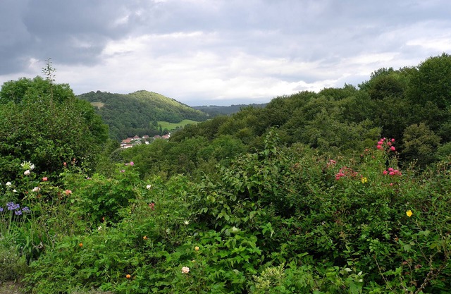 Detached stone house in a 3-hectare property in the Pyrenean foothills