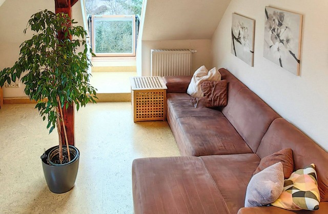 DG apartment with garden view | allergy-friendly