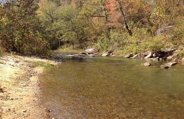 DISCOUNTED! WATERFRONT CABIN-PINEY CREEK PRIME SPOT Swim/Fish/Play-Kids LUV it!