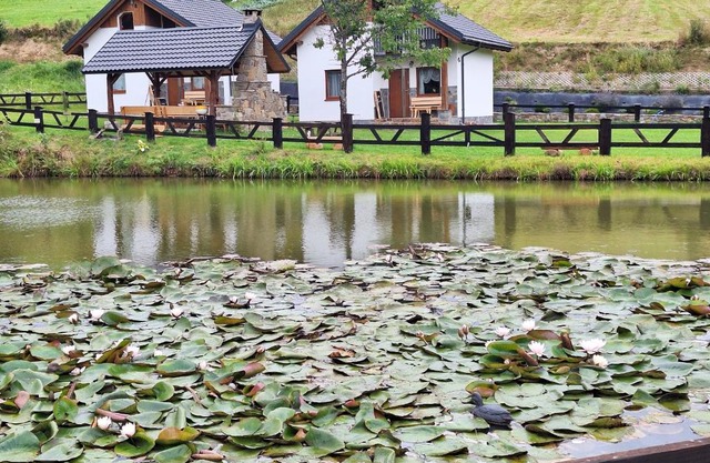 Domki Nad Liliowym Stawem