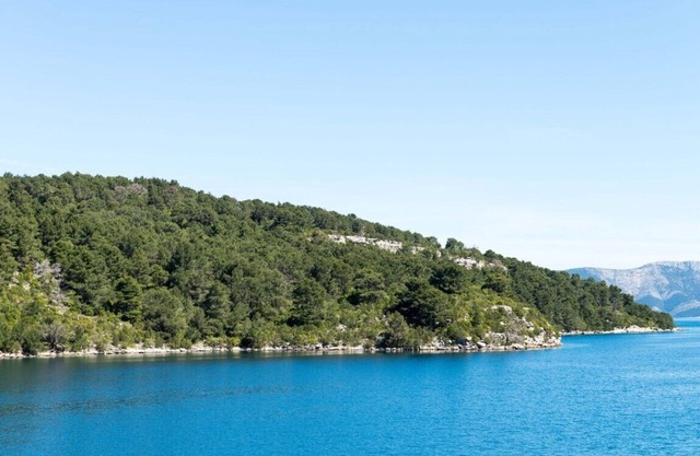Dream 2BR apartment3#Mljet#seaview