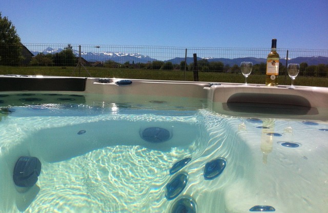 Duplex house 40m2 with spa and pool facing the Pyrenees