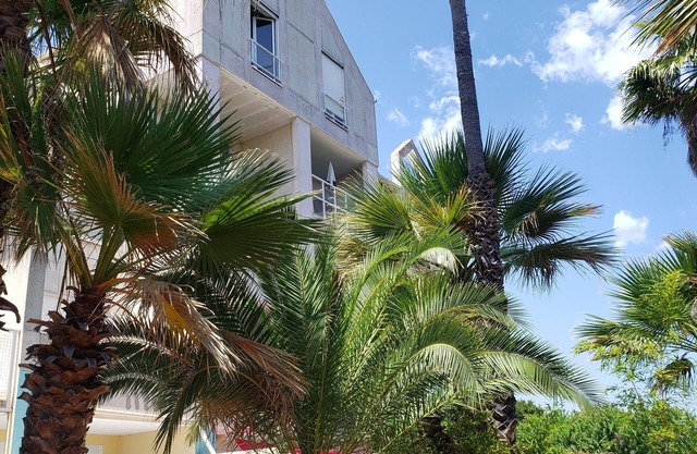 Duplex vue Mer, au Calme au Milieu D'un Jardin, à 150m de la Plage à Pieds