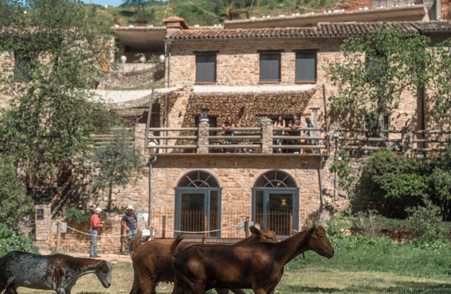 Eco-Finca Cueva del Gato, ideal for families with pets surrounded by nature.