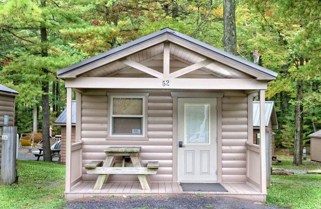Efficiency Cabin 46