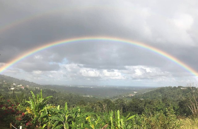 El Yunque, Breath Taking Views and Sunsets