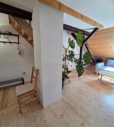 Entire apartment 10 min from train station