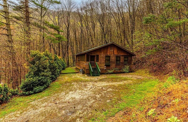 Escape to the serene Dragonfly Cabin in Bryson City