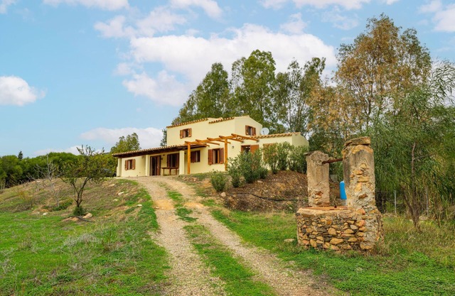 Eucalipto by Interhome