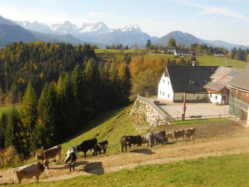 Familienbauernhof Imitz, Ferienwohnung