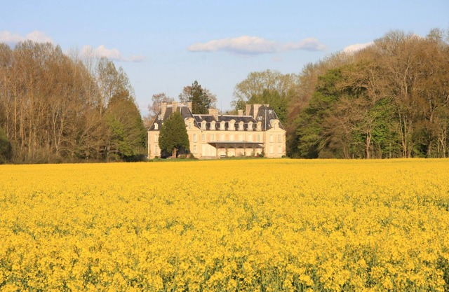 Family Castle in Fontenay