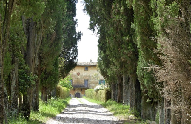 Family Villa Pool in Volterra