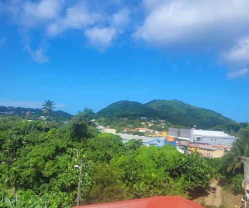 Fano's Tropical Oasis, Boise D'orange ST Lucia