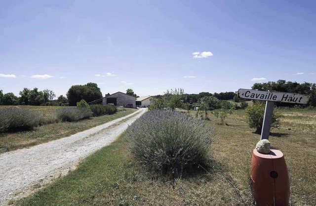 Farm in the countryside - vacation accommodation