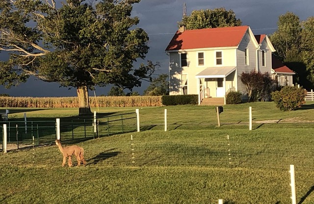 Farmhouse Getaway nLocated between boat ramps and 20 minutes to Miami.