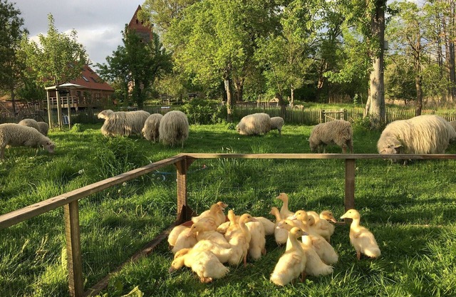 Farmhouse with much peace