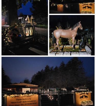 Ferienhaus auf dem Lusitanohof Jäger