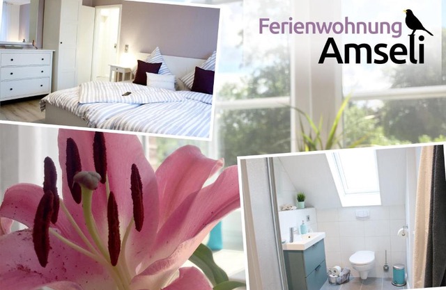 Ferienwohnung Amseli