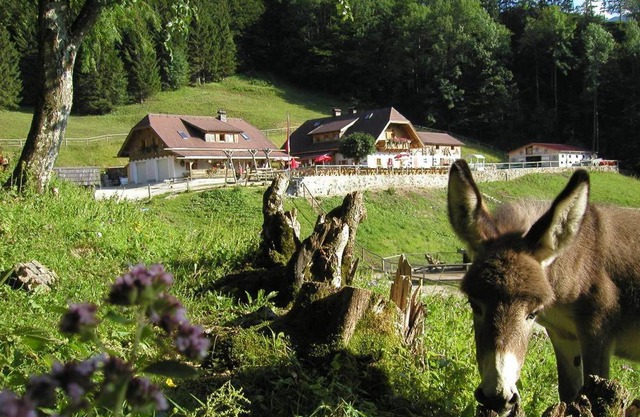 Ferienwohnung Hochsteinalm