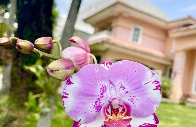 Flower House Villa