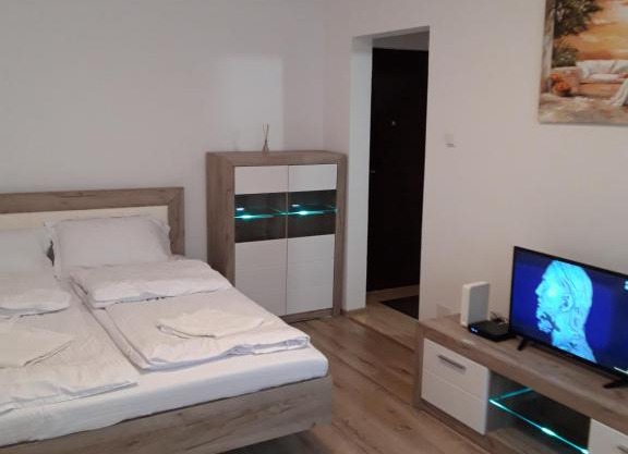 Focus Home