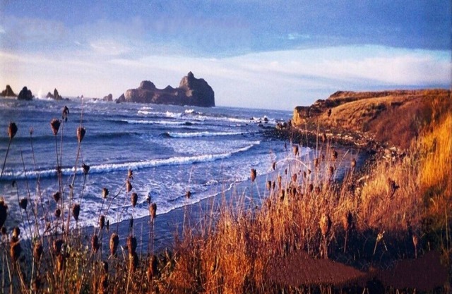 Footsteps to Pebble Beach & Short Drive to Redwoods