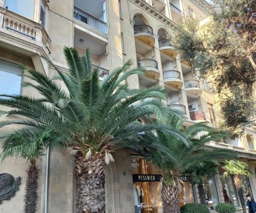 For the family . 2 bedrooms. City center.