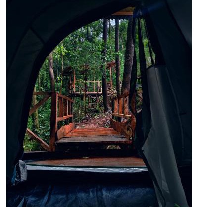 Forest IMAX