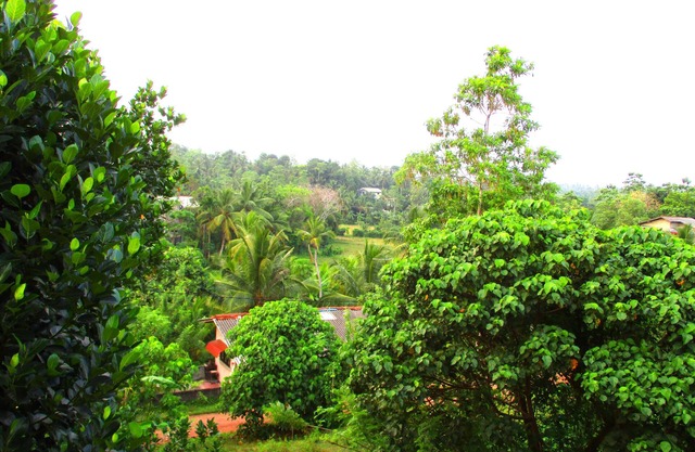 Fresh Air Villa Guest House